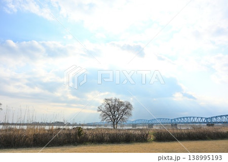 光芒が差す阿賀野川河川敷と泰平橋（新潟県新潟市） 138995193