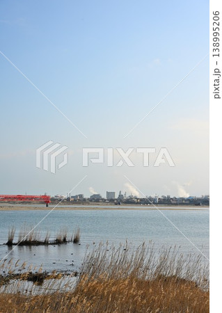 阿賀野川河口と新潟空港進入灯(新潟県新潟市) 阿賀野川河口と新潟空港進入灯(新潟県新潟市) 138995206