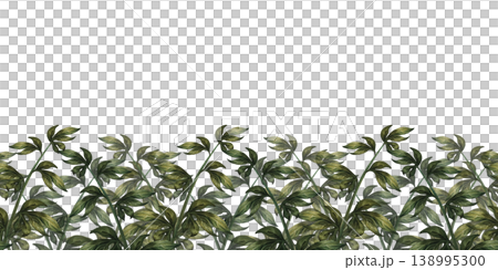 Green seamless border of peony branches, at the bottom of the frame, isolated on a white background. Watercolor botanical greenery for floral decor, wedding design, branding, packaging, wallpaper Green seamless border of peony branches, at the bottom of the frame, isolated on a white background. Watercolor botanical greenery for floral decor, wedding design, branding, packaging, wallpaper 138995300