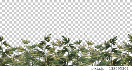 Green seamless border of peony branches, at the bottom of the frame, isolated on a white background. Watercolor botanical greenery for floral decor, wedding design, branding, packaging, wallpaper Green seamless border of peony branches, at the bottom of the frame, isolated on a white background. Watercolor botanical greenery for floral decor, wedding design, branding, packaging, wallpaper 138995301