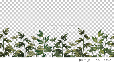 Green seamless border of peony branches, at the bottom of the frame, isolated on a white background. Watercolor botanical greenery for floral decor, wedding design, branding, packaging, wallpaper Green seamless border of peony branches, at the bottom of the frame, isolated on a white background. Watercolor botanical greenery for floral decor, wedding design, branding, packaging, wallpaper 138995302