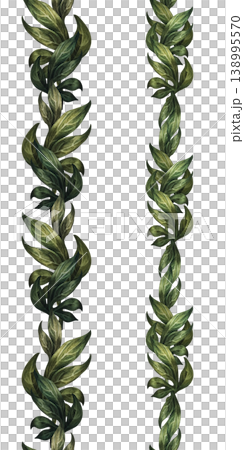 Vertical green seamless border of peony branches, isolated on a white background. Watercolor botanical greenery pattern for elegant floral decor, wedding design, branding, packaging, wallpaper Vertical green seamless border of peony branches, isolated on a white background. Watercolor botanical greenery pattern for elegant floral decor, wedding design, branding, packaging, wallpaper 138995570
