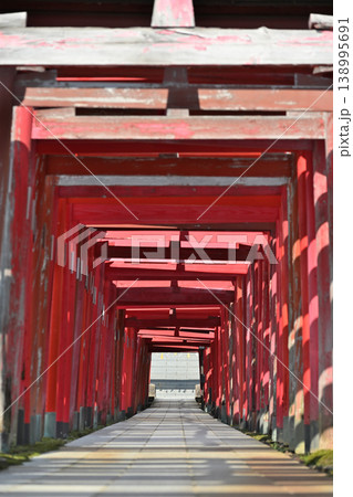 御幣稲荷神社の連なる鳥居と参道(新潟県新潟市西区) 御幣稲荷神社の連なる鳥居と参道(新潟県新潟市西区) 138995691