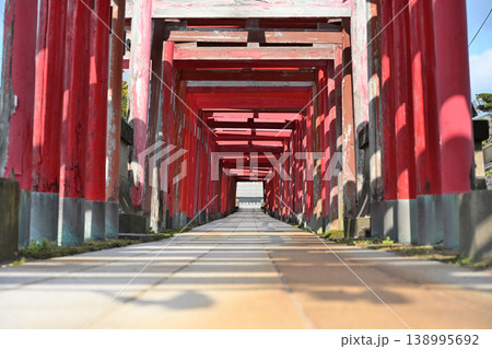 御幣稲荷神社の連なる鳥居と参道(新潟県新潟市西区) 御幣稲荷神社の連なる鳥居と参道(新潟県新潟市西区) 138995692
