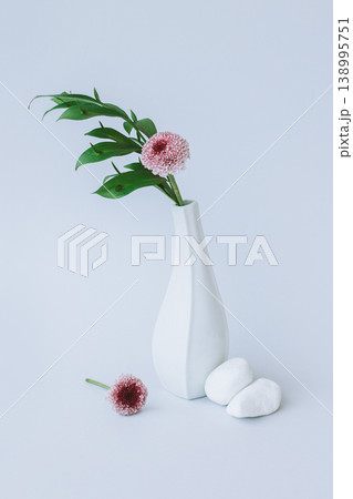 Tender branch with green leaves and pink chrysanthemum flower in a white vase on a grey background. Tender branch with green leaves and pink chrysanthemum flower in a white vase on a grey background. 138995751