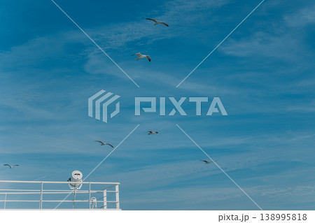 Seagulls flying in the the blue sky under the boat. Seagulls flying in the the blue sky under the boat. 138995818