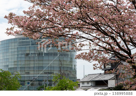 パルティせとと満開のハナミズキが彩る瀬戸市の春風景 パルティせとと満開のハナミズキが彩る瀬戸市の春風景 138995888