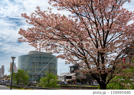 パルティせとと満開のハナミズキが彩る瀬戸市の春風景 パルティせとと満開のハナミズキが彩る瀬戸市の春風景 138995890