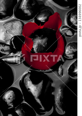 Red rose petals on a dark colored gravel surface. 138996002