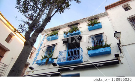 Picturesque architecture of a traditional white building featuring striking blue accents and lush green plants under a bright sky in Altea, Spain, a charming destination for travel Picturesque architecture of a traditional white building featuring striking blue accents and lush green plants under a bright sky in Altea, Spain, a charming destination for travel 138996020