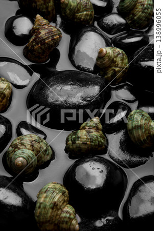 Natural Seashell Arrangement on Black Pebbles. Natural Seashell Arrangement on Black Pebbles. 138996055