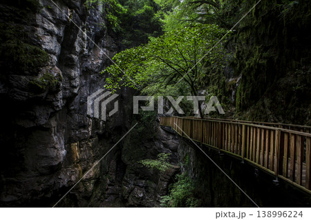 Wooden Pathway in Forested Canyon Environment. Wooden Pathway in Forested Canyon Environment. 138996224