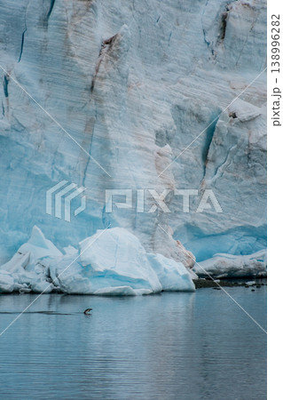 Swimming and Jumping Penguins among the Antarctic Sea Ice Swimming and Jumping Penguins among the Antarctic Sea Ice 138996282