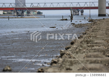 江戸川放水路の干潟と市川大橋 河口付近の広大な湿地風景 138996681