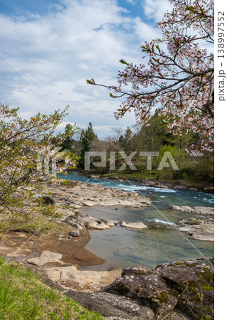 春の厳美渓の清流と新緑の風景 138997552