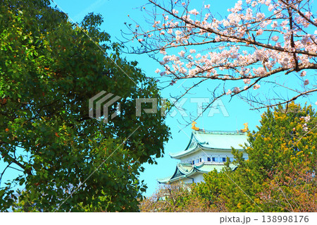 愛知県名古屋市、満開の桜と名古屋城の風景 愛知県名古屋市、満開の桜と名古屋城の風景 138998176