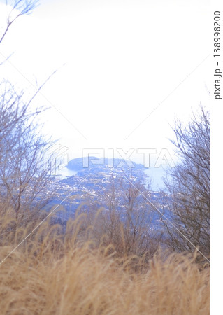 山の上に広がるススキ その間から見える真鶴 山の上に広がるススキ その間から見える真鶴 138998200