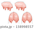 Two sets of udder illustrations painted in charcoal pencil style 138998557