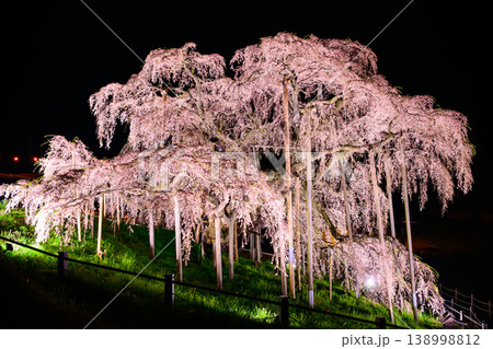 画面を埋め尽くす紅枝垂のシャワー 三春滝桜ライトアップ 満開の巨樹 迫力の近影 138998812