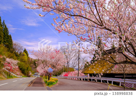花桃と茅葺屋根の風景 花桃と茅葺屋根の風景 138998838