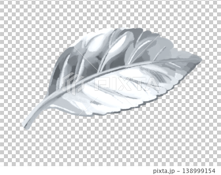 Silver Leaf Silver Leaf 138999154