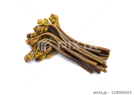 ワラビ　白背景 139000263