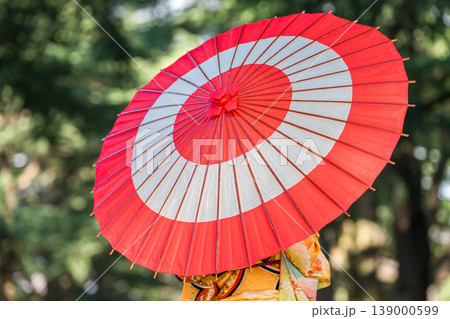 はたちの集い,二十歳のつどい,成人式で着物,振袖を着て番傘を指す女性 139000599