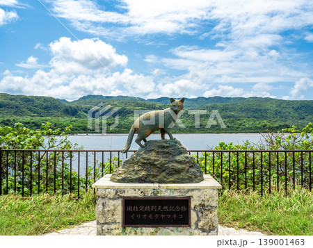 イリオモテヤマネコの銅像(沖縄県西表島) イリオモテヤマネコの銅像(沖縄県西表島) 139001463
