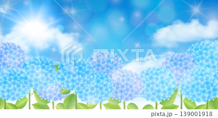 青い空の下に広がる美しい紫陽花の風景 青い空の下に広がる美しい紫陽花の風景 139001918