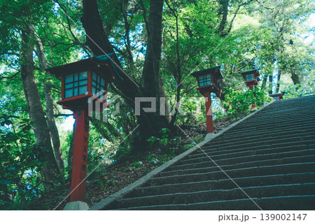 高尾山の石段と灯籠 新緑に囲まれた日本の風景 高尾山の石段と灯籠 新緑に囲まれた日本の風景 139002147