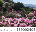 満開のツツジが山肌を彩る皿山公園の春風景 新緑と花の名所と街並み（福岡県須恵町） 139002405
