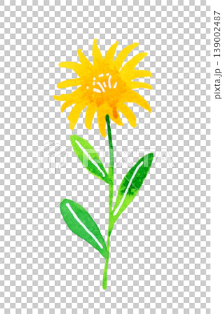 黄色のオシャレな花　植物の手描き水彩イラスト素材 139002487