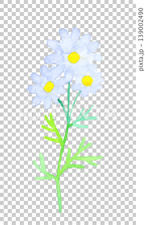 Stylish white and yellow flowers - hand-drawn watercolor illustration of plants 139002490