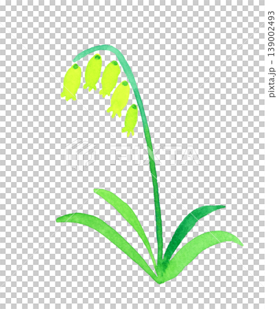 Stylish light green flower - hand-drawn watercolor illustration of a plant. Stylish light green flower - hand-drawn watercolor illustration of a plant. 139002493