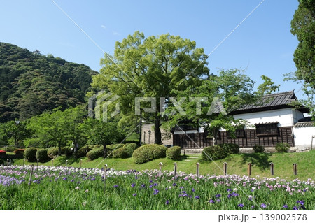 岩国の吉香花菖蒲園 139002578