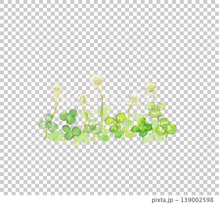 白詰草の手描き水彩イラスト 白詰草の手描き水彩イラスト 139002598