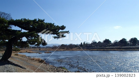 松の木のある風景 松の木のある風景 139002823