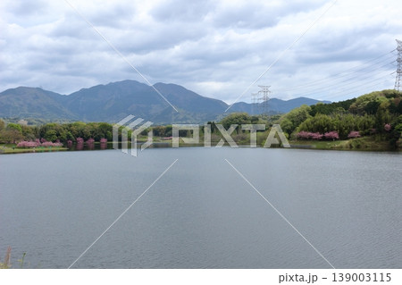 滋賀県 春の日野川ダムの風景 滋賀県 春の日野川ダムの風景 139003115