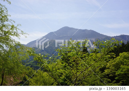 埼玉県秩父市の羊山公園の芝桜の丘から臨む武甲山の風景 埼玉県秩父市の羊山公園の芝桜の丘から臨む武甲山の風景 139003165