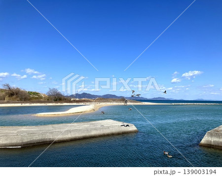 青空と海を背景に飛ぶ水鳥の群れ 139003194