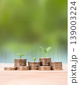Young green seedlings plant growing on increasing coin stacking for money saving deposit and investment dividend growth concept, goals achievement and business success. Growth standard of living 139003224