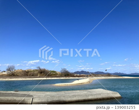 海辺の風景と飛ぶ水鳥たち（今治） 139003255