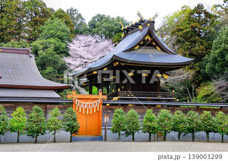 アニメの聖地としても親しまれている御宮… 『鷲宮神社』 アニメの聖地としても親しまれている御宮… 『鷲宮神社』 139003299