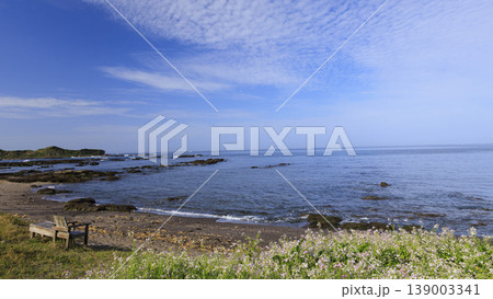 晴れた日の海岸 139003341