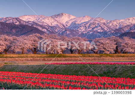 黄昏のあさひ舟川べりの三重奏 139003398