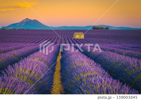 Ruined farm house on the lavender field in Provence, France Ruined farm house on the lavender field in Provence, France 139003845