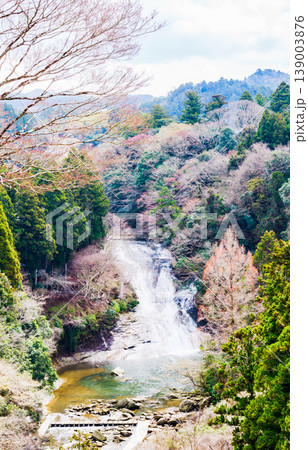粟又の滝 は 房総一 を誇る 名瀑布 【 千葉県 養老渓谷 の 観光名所 を 空撮 】 粟又の滝 は 房総一 を誇る 名瀑布 【 千葉県 養老渓谷 の 観光名所 を 空撮 】 139003876
