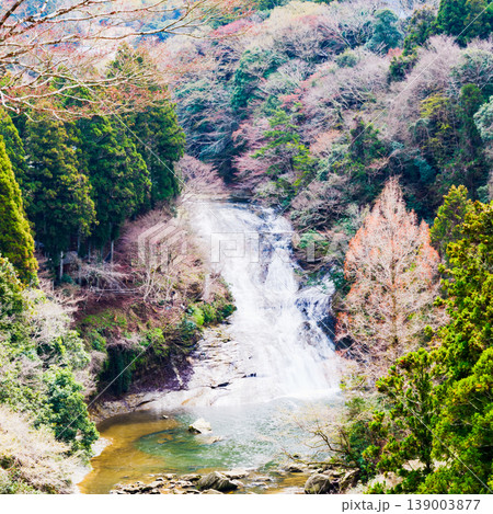 粟又の滝 は 房総一 を誇る 名瀑布 【 千葉県 養老渓谷 の 観光名所 を 空撮 】 粟又の滝 は 房総一 を誇る 名瀑布 【 千葉県 養老渓谷 の 観光名所 を 空撮 】 139003877