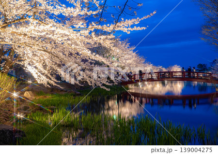 【桜素材】臥竜公園のライトアップされた夜桜【長野県】 139004275