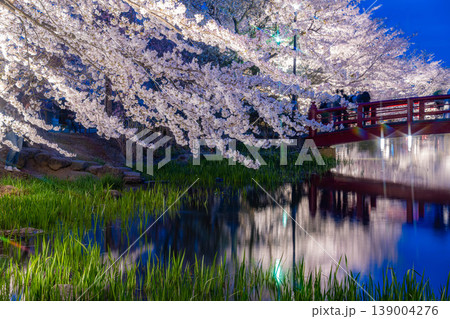 【桜素材】臥竜公園のライトアップされた夜桜【長野県】 【桜素材】臥竜公園のライトアップされた夜桜【長野県】 139004276